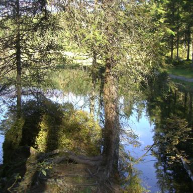 Blausee